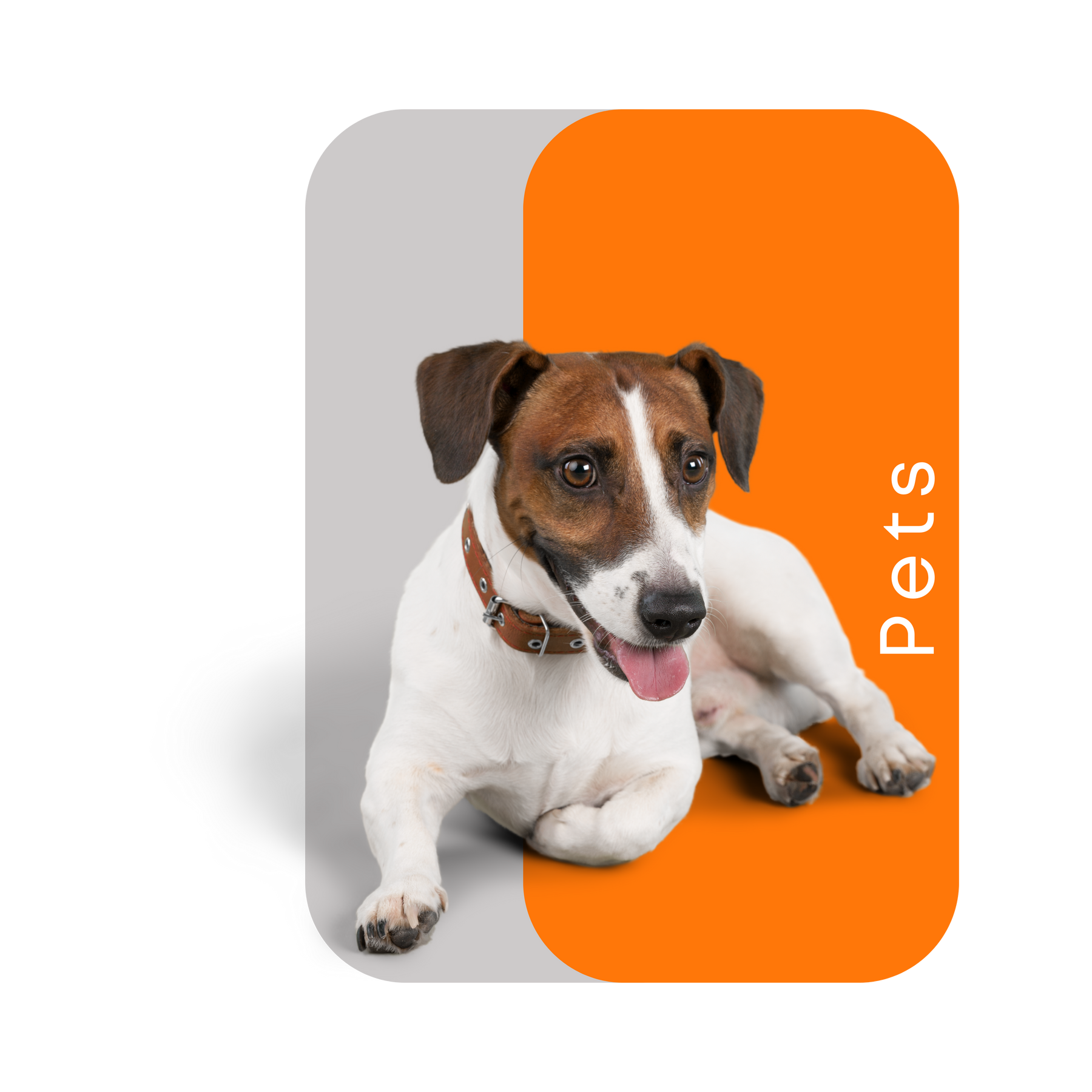 Pets